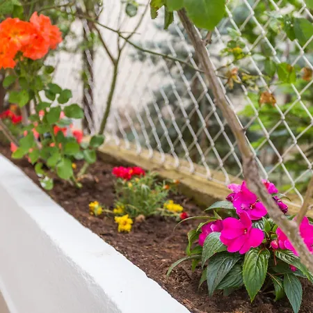 Comfortable Modern With Shaded Patio *