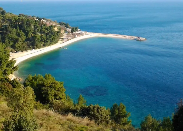 Comfortable Modern With Shaded Patio Split